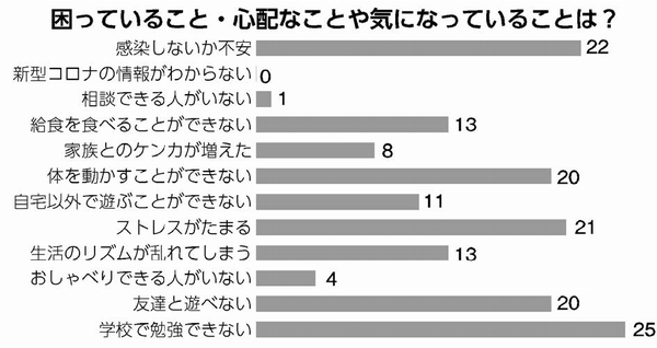 グラフ：困っていること・心配なことや気になっていることは？